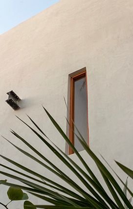 Wall, vegetation and window detail at an FMT Estudio construction site