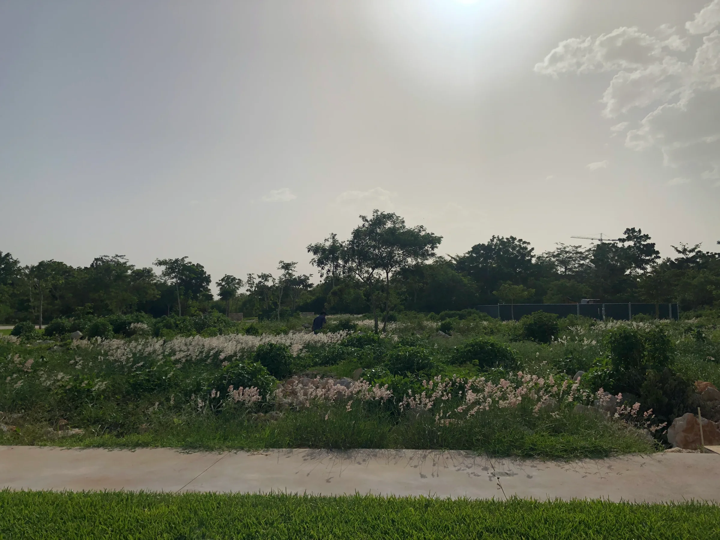 Cabo Norte — vista 6
