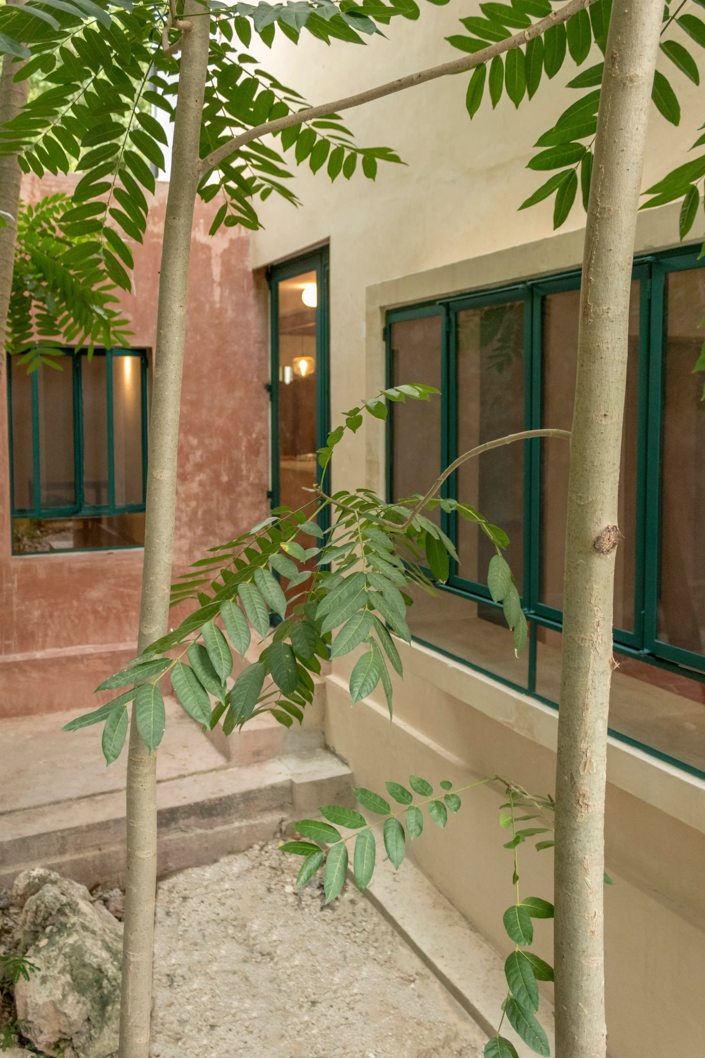 Casa Chuburna — remodelación residencial en Mérida, Yucatán, FMT Estudio