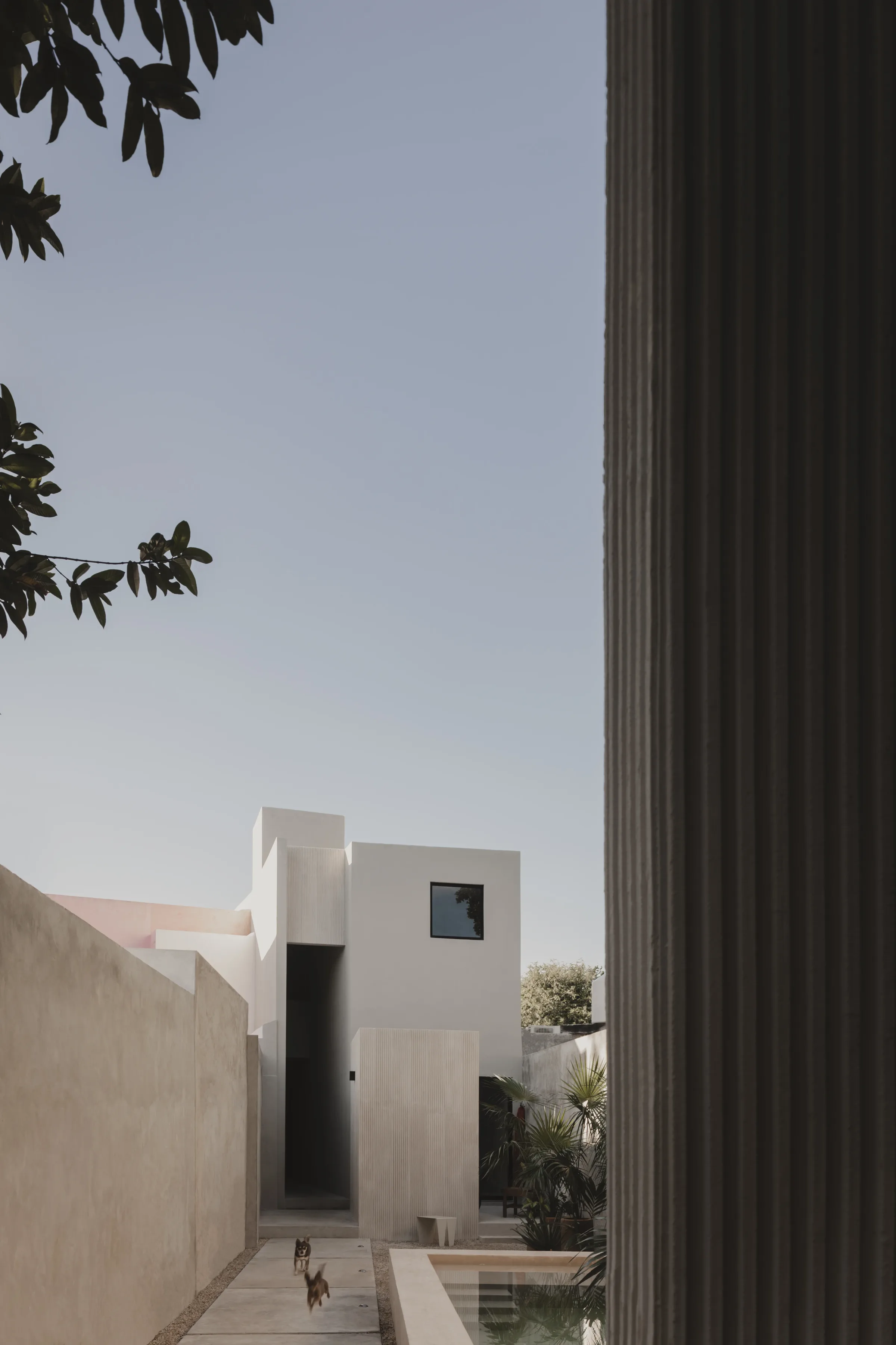 El Tirón — vista 4