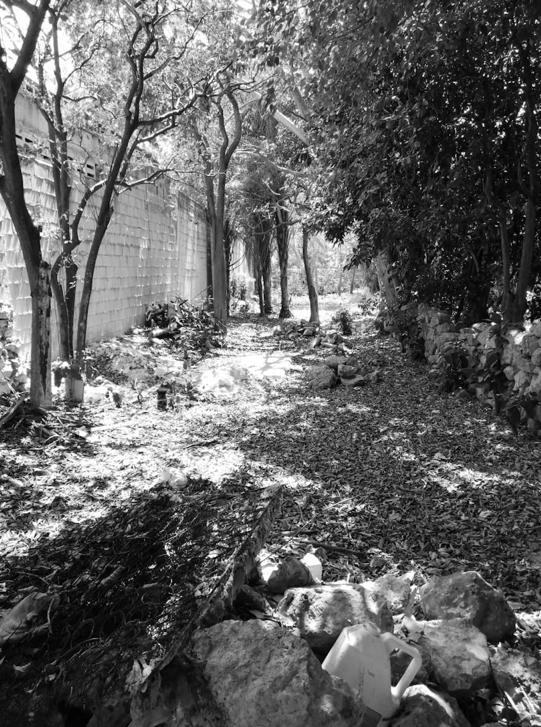 Casa del Fotógrafo — vista 5
